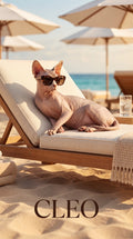 Cleo beach cat custom canvas portrait