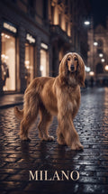 Milano fashion dog custom canvas portrait