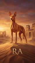 Ra desert dog custom canvas portrait